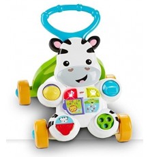 Mattel Zebra Primi Passi Spingibile, Giocattolo Elettronico Educativo con Musica e Suoni, per Bambini di 6 + Mesi