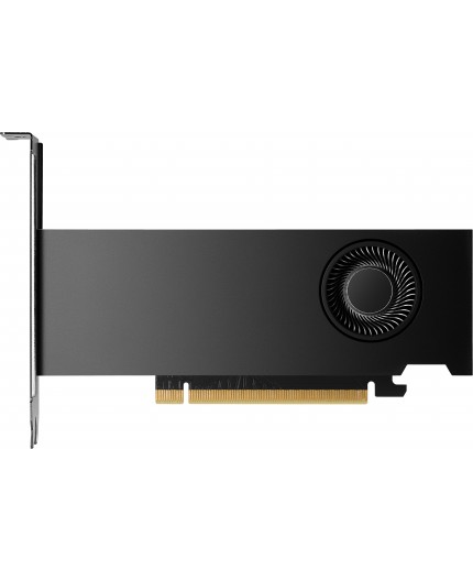 HP NVIDIA RTX PH x2xxx 4mDP Graphics