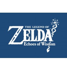 Nintendo The Legend of Zelda  Echoes of Wisdom