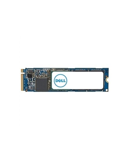 DELL AC037409 drives allo stato solido 1 TB M.2 PCI Express 4.0 NVMe
