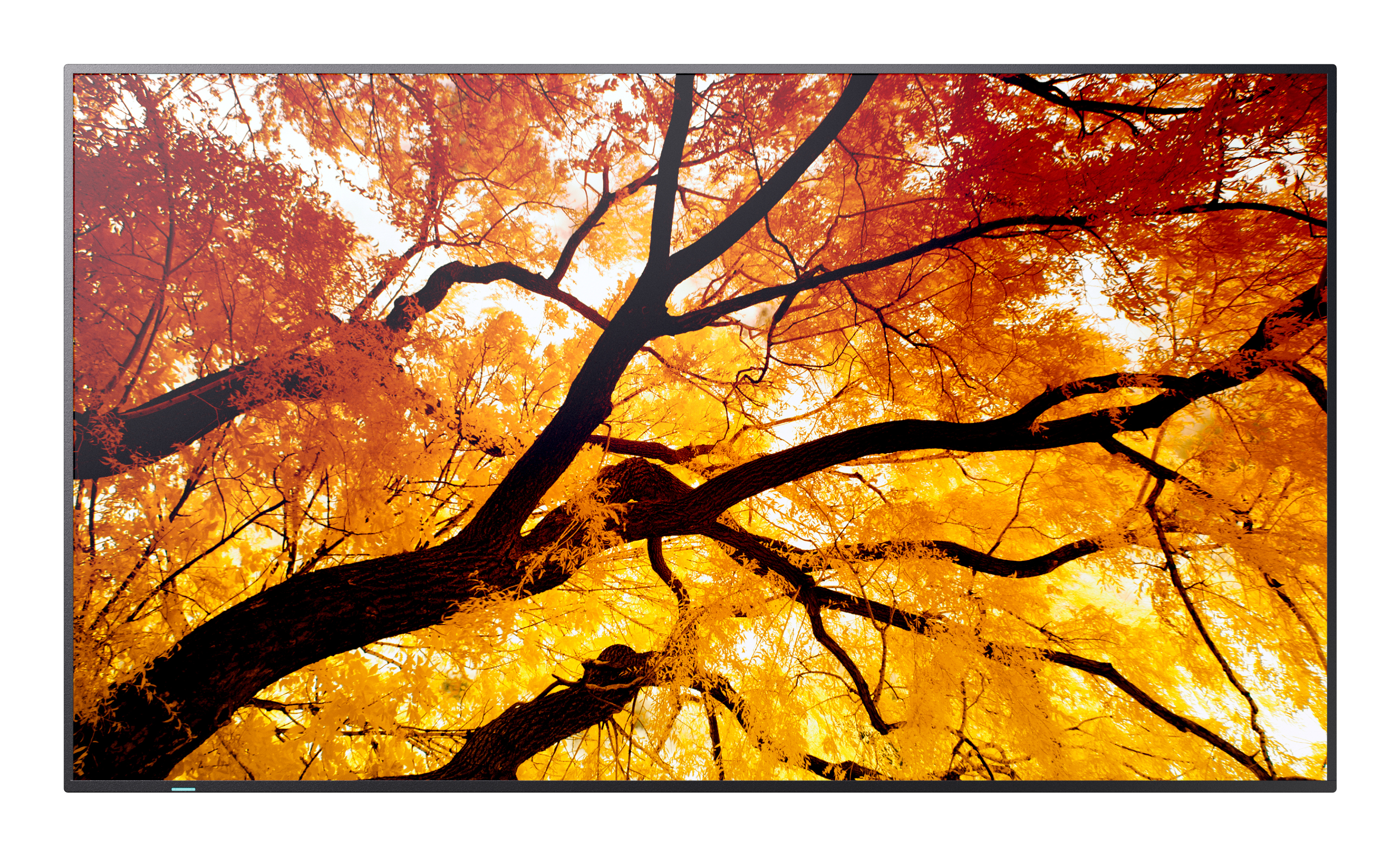 Sharp MultiSync M432 Pannello piatto per segnaletica digitale 108 cm (