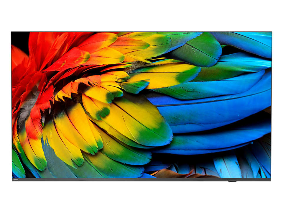 Philips 43HFL6214U 109,2 cm (43") 4K Ultra HD Smart TV Wi-Fi Antracite