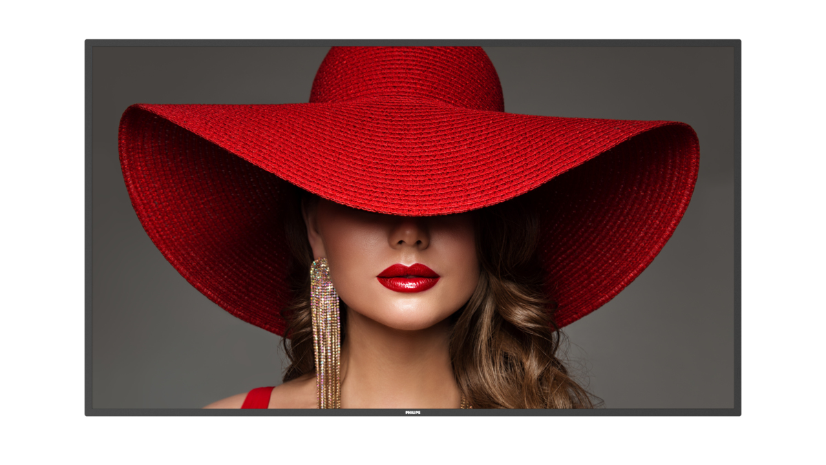 Philips 65BDL4650D Pannello piatto per segnaletica digitale 165,1 cm (