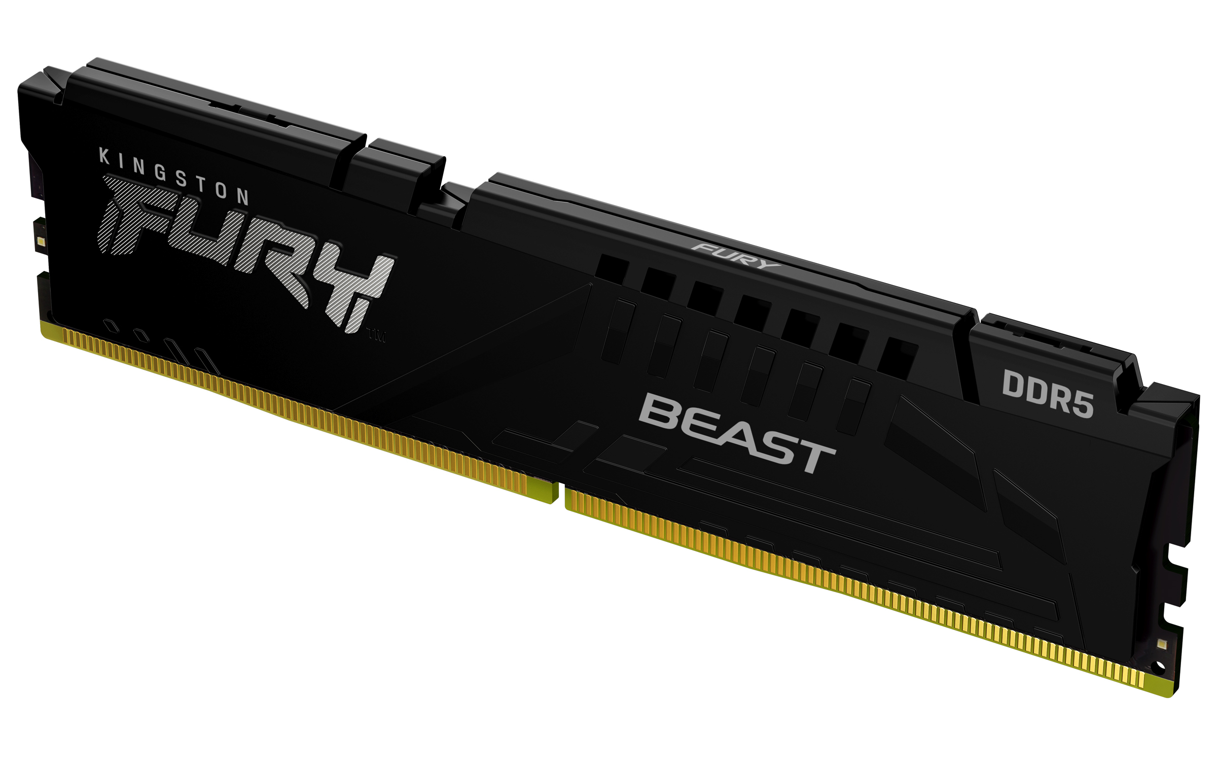 Kingston Technology FURY Beast 16 GB 5600 MT/s DDR5 CL40 DIMM Black