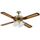 DCG Eltronic VECRD53 ventilatore Marrone, Giallo