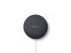 Google Nest Mini